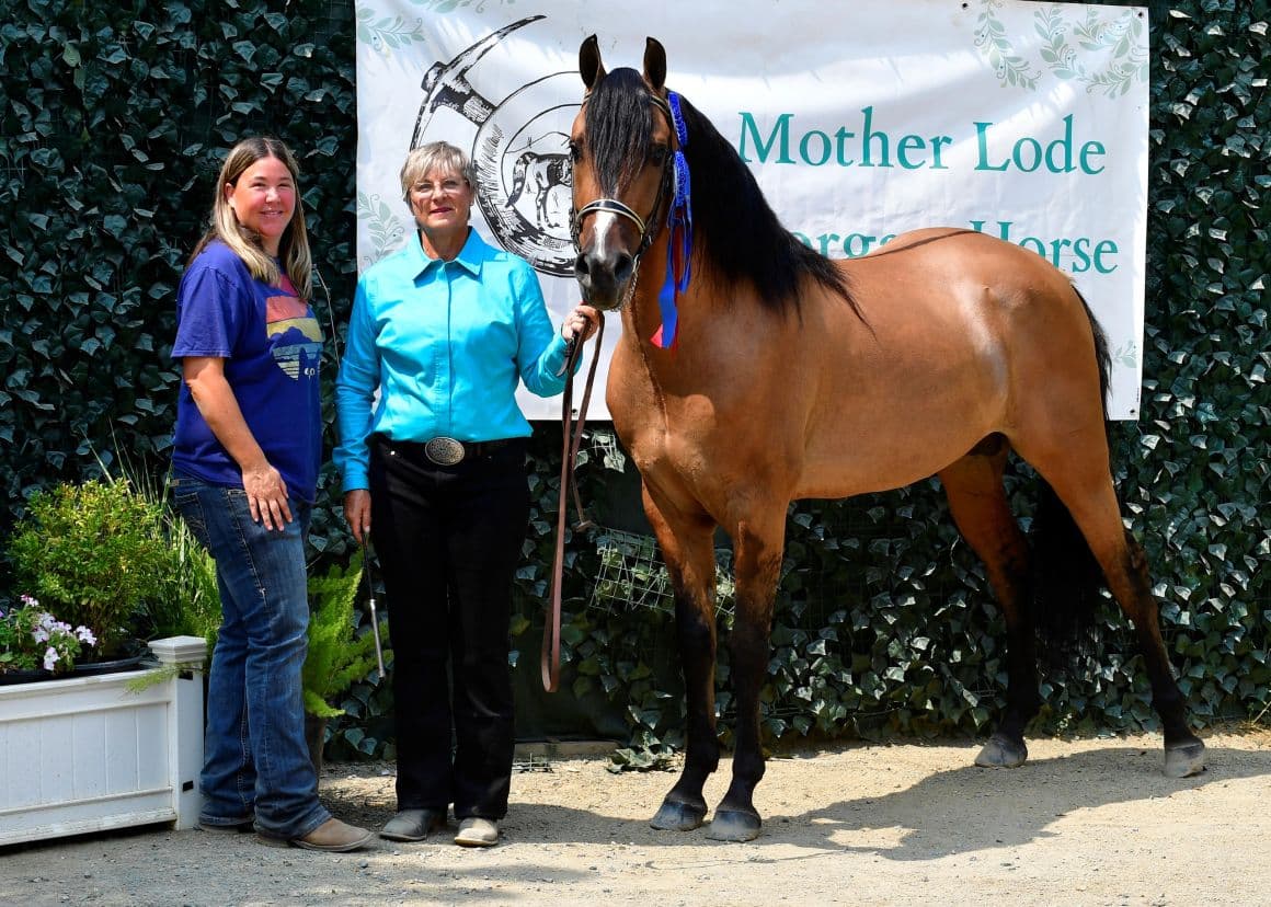 Award-winning horse and handlers at a show