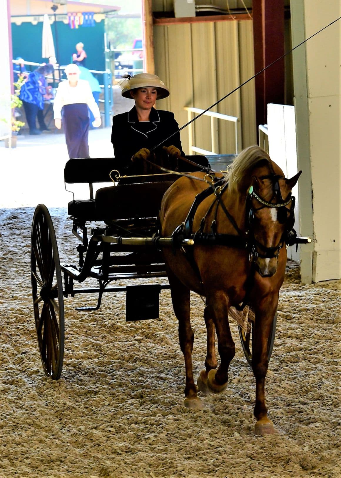 Carriage driver competing in an indoor arena