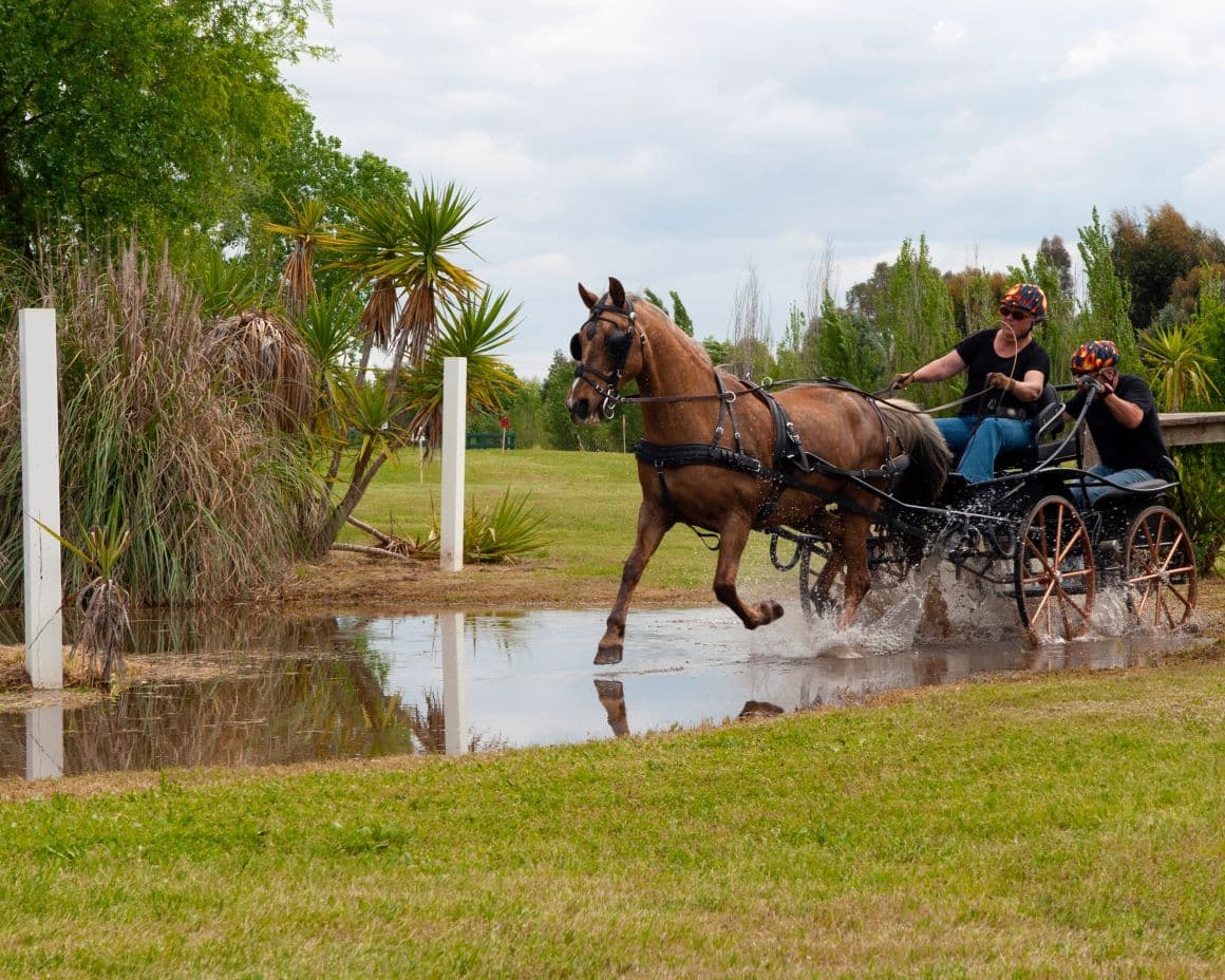 Horse and carriage crossing a water obstacle