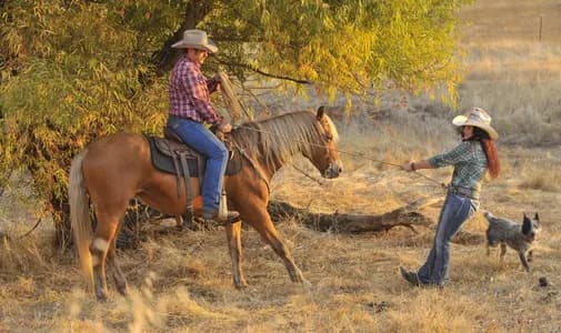 Riders and ranch hands working with horses